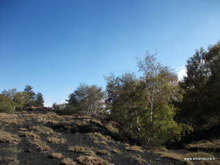 nti Sartorius-01-11-2012 09-50-36